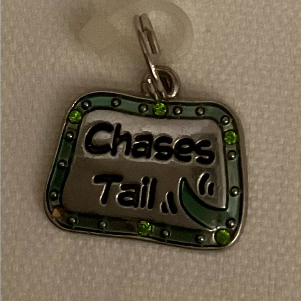 GANZ Pet Tag “Chases Tail” 🐱🐶